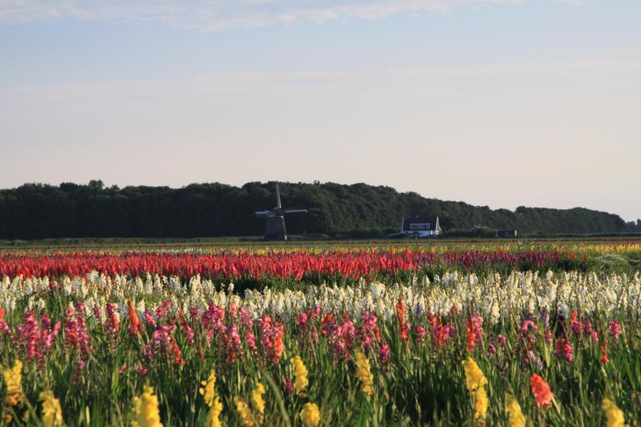 Apartmán Landgoed Swaensborgh Oudesluis  Exteriér fotografie